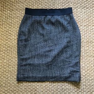 Express Pencil Skirt